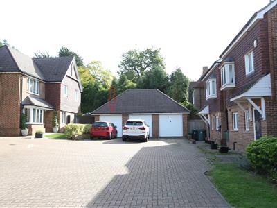 Picture 20